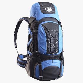 Alpine Backpack